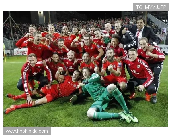 威尔士队长本戴维斯因腿筋受伤缺席世预赛最后两场比赛